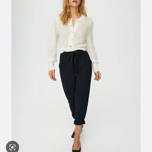 Aritzia Wilfred blue grey pants